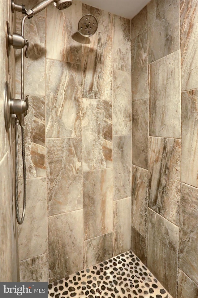 1715 Mountain View Rd, Harrisburg, PA 17110 - bathroom view of tiled shower