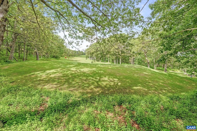 23 Trillium Close, Wintergreen Resort, VA 22967 - view of grassy yard