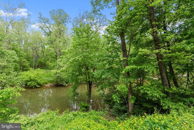 water view featuring a heavily wooded area