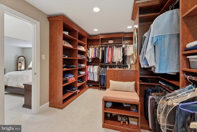 20 Dorchester Way, Phoenixville, PA 19460 - spacious closet featuring carpet floors