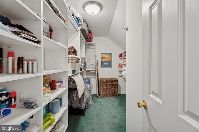 20 Dorchester Way, Phoenixville, PA 19460 - walk in closet featuring carpet floors and vaulted ceiling