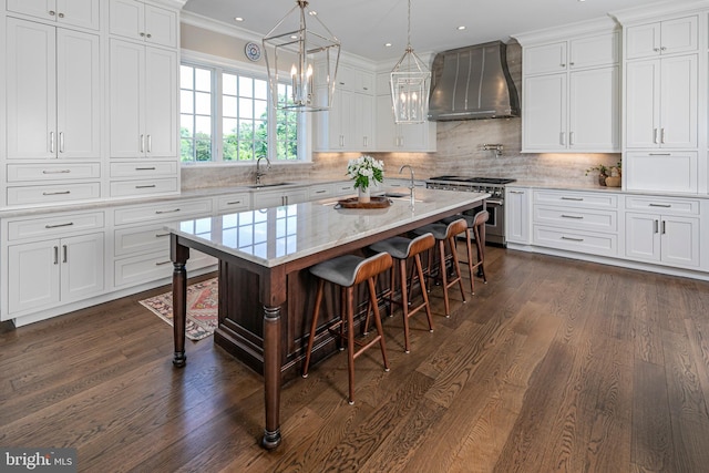 280 Carter Rd, Princeton, NJ 08540 - kitchen with wall chimney exhaust hood, high end stove, a sink, white cabinetry, and crown molding