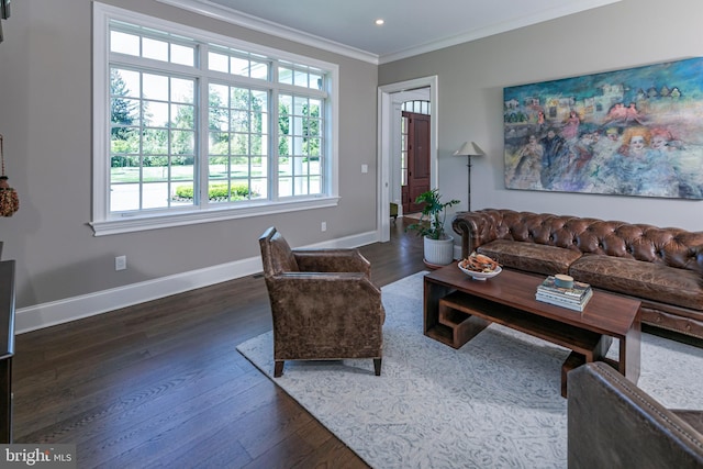 280 Carter Rd, Princeton, NJ 08540 - living room featuring ornamental molding, dark wood finished floors, baseboards, and recessed lighting