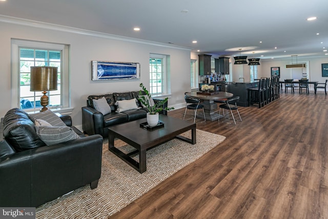 280 Carter Rd, Princeton, NJ 08540 - living room featuring crown molding, dark wood finished floors, recessed lighting, and baseboards