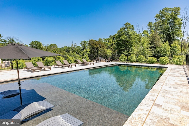 280 Carter Rd, Princeton, NJ 08540 - swimming pool with a patio