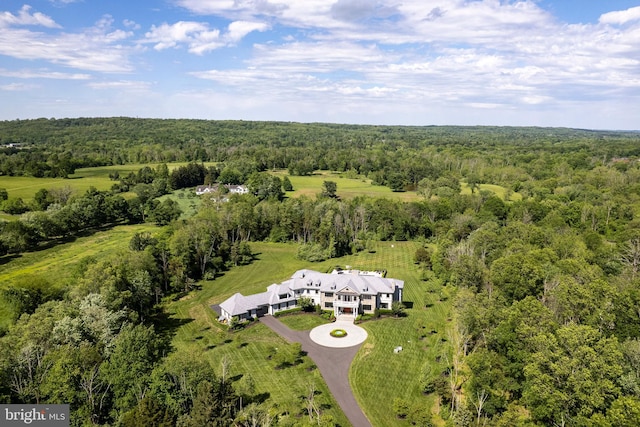 280 Carter Rd, Princeton, NJ 08540 - view of subject property featuring a forest