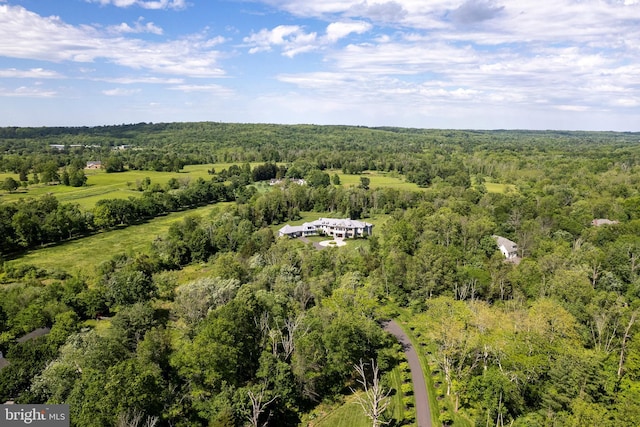 280 Carter Rd, Princeton, NJ 08540 - bird's eye view of a forest