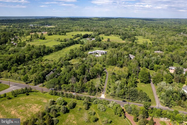 280 Carter Rd, Princeton, NJ 08540 - drone / aerial view of a forest