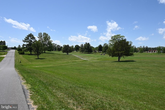 9706 Fairway Dr, New Market, VA 22844 - surrounding community featuring a yard