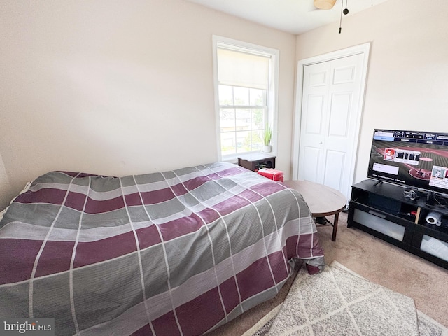 7226 Waldman Ave, Sparrows Point, MD 21219 - bedroom featuring carpet