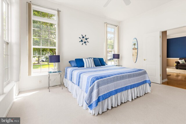 11625 Manklin Creek Rd, Ocean Pines, MD 21811 - carpeted bedroom with multiple windows and a ceiling fan