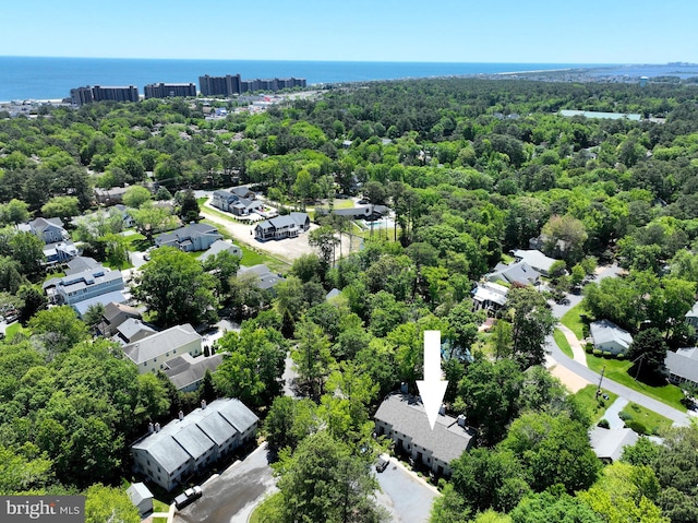 435 Lekites Ave Unit 435, Bethany Beach, DE 19930 - aerial view of residential area featuring a large body of water and a forest