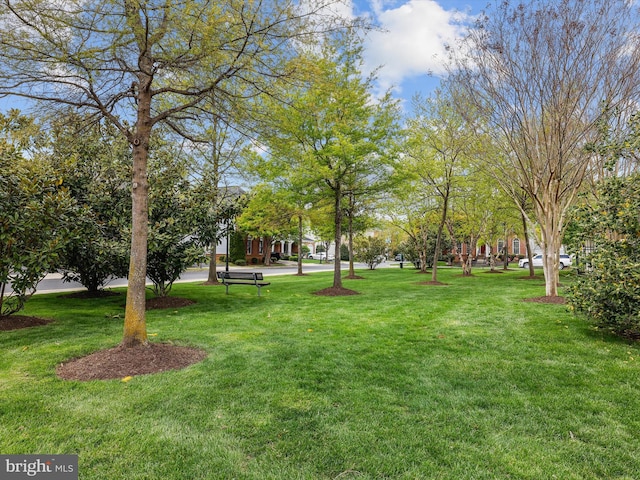 710 Crisfield Way, Annapolis, MD 21401 - view of green lawn