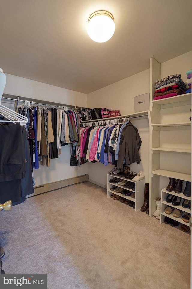 12 Meadow Woods Ln, West Grove, PA 19390 - walk in closet featuring carpet