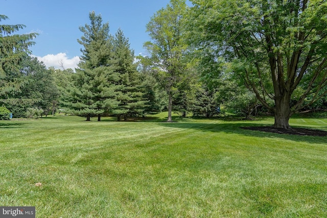 12 Meadow Woods Ln, West Grove, PA 19390 - view of green lawn