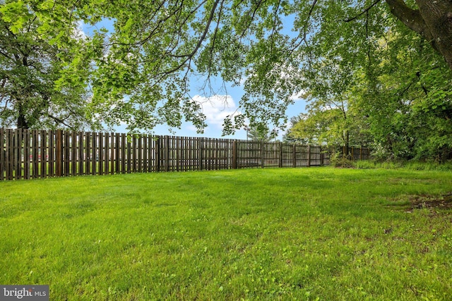 view of yard