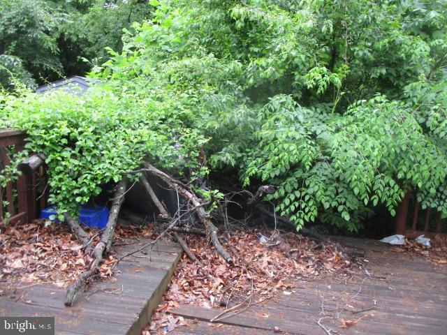 9410 Chippenham Dr, Laurel, MD 20723 - view of yard