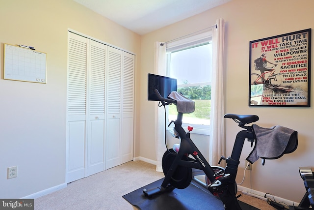 14600 Barton Blvd SW, Cresaptown, MD 21502 - exercise room with carpet floors and baseboards