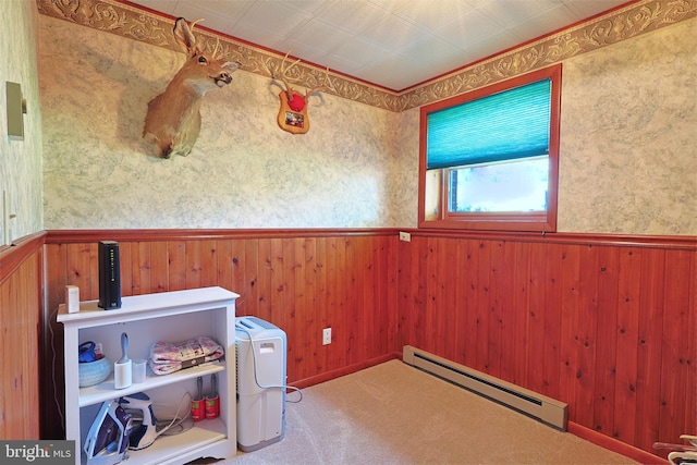 14600 Barton Blvd SW, Cresaptown, MD 21502 - miscellaneous room with baseboard heating, wainscoting, wood walls, and carpet