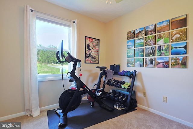 14600 Barton Blvd SW, Cresaptown, MD 21502 - workout room with carpet and baseboards