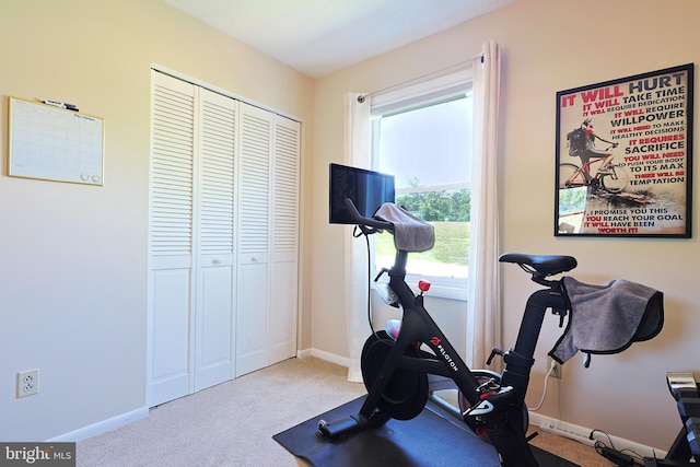 14600 Barton Blvd SW, Cresaptown, MD 21502 - exercise room with carpet and baseboards