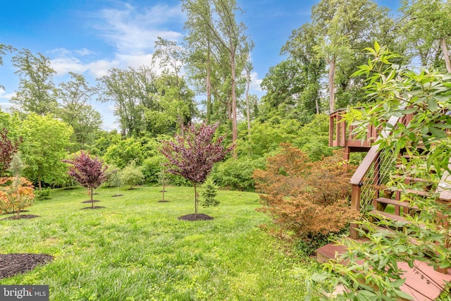 210 Providence Rd, Annapolis, MD 21409 - view of grassy yard