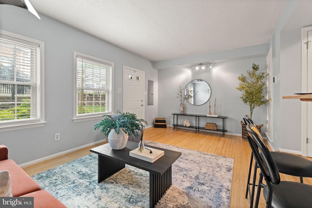 122 N Bedford St Unit A, Arlington, VA 22201 - living room with light wood finished floors and a textured ceiling