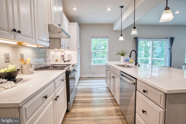 3163 Dodder Way, Odenton, MD 21113 - kitchen with stainless steel appliances, under cabinet range hood, light wood finished floors, a sink, and decorative backsplash