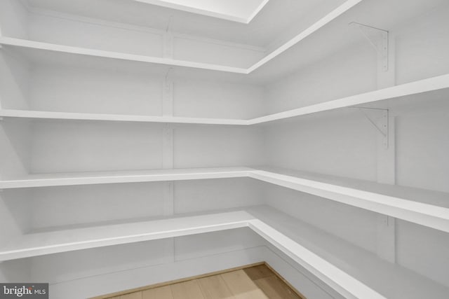 view of pantry