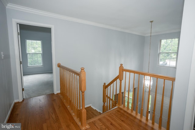 13076 Dove Tree Ct, Manassas, VA 20112 - stairs featuring wood finished floors, baseboards, and ornamental molding