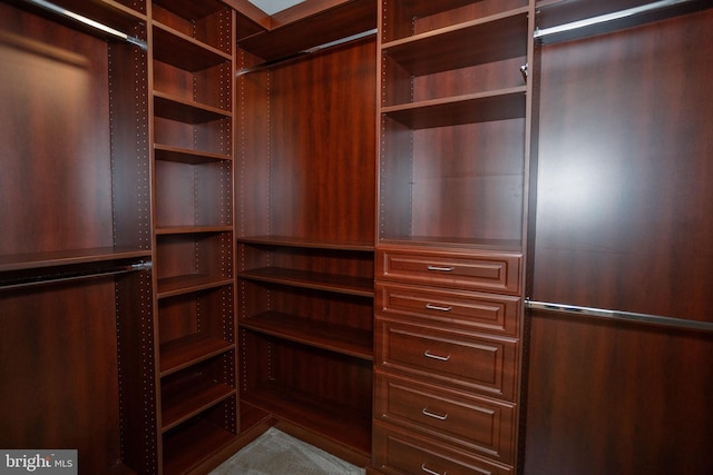 13076 Dove Tree Ct, Manassas, VA 20112 - view of spacious closet