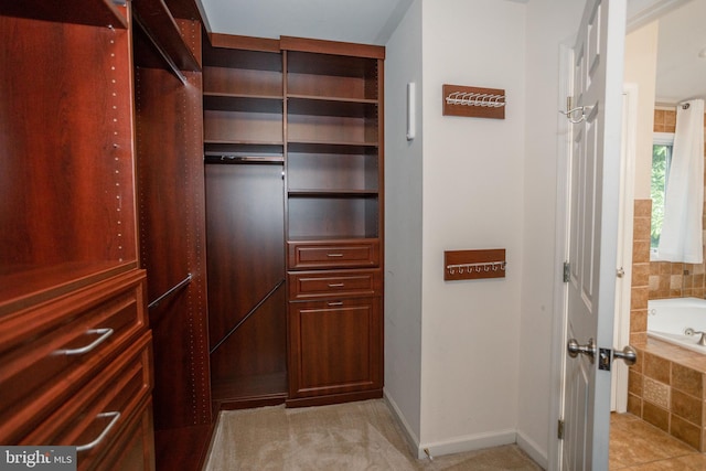 13076 Dove Tree Ct, Manassas, VA 20112 - view of spacious closet