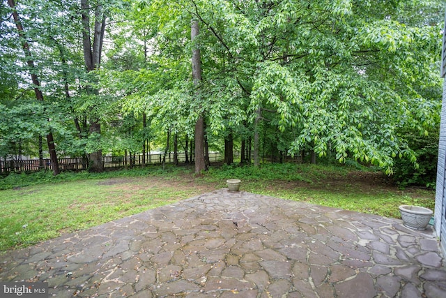 13076 Dove Tree Ct, Manassas, VA 20112 - view of yard with a patio