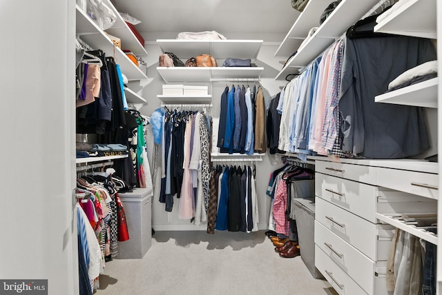 walk in closet featuring carpet floors