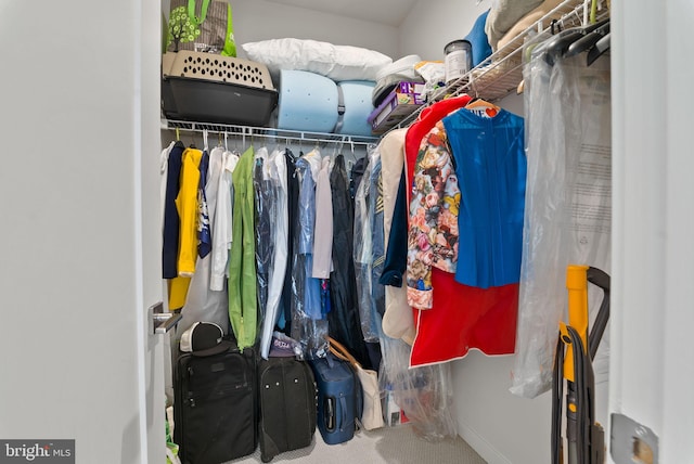 walk in closet featuring carpet