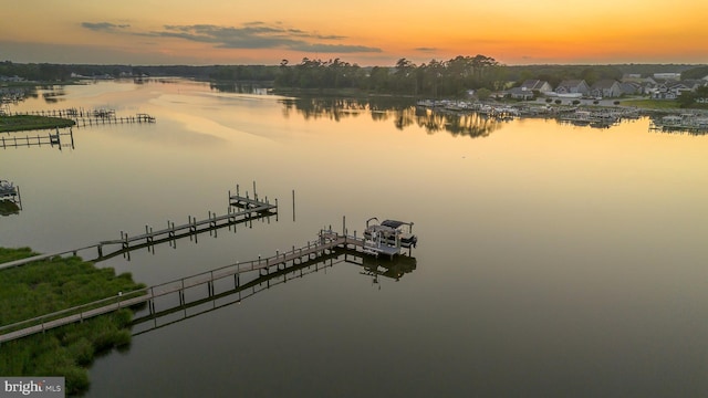 118 Riverview Dr, Dagsboro, DE 19939 - water view with a dock and boat lift