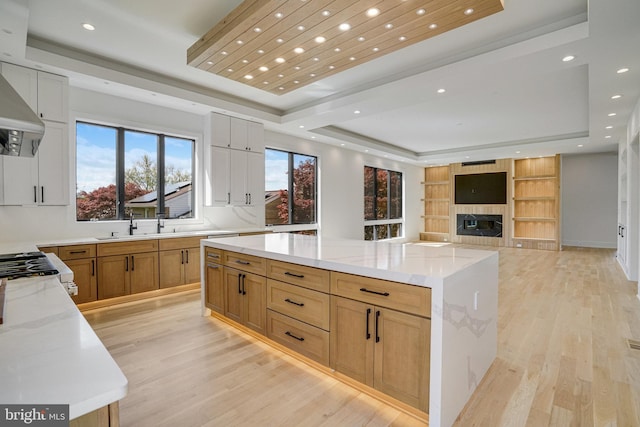 kitchen featuring a tray ceiling, light wood finished floors, a spacious island, light stone counters, and recessed lighting