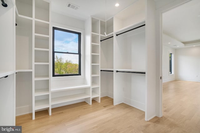 walk in closet with wood finished floors