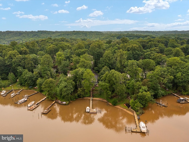 1018 Plum Creek Dr, Crownsville, MD 21032 - aerial view of a heavily wooded area and a nearby body of water
