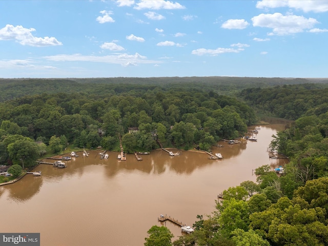 1018 Plum Creek Dr, Crownsville, MD 21032 - aerial view of a forest and a nearby body of water