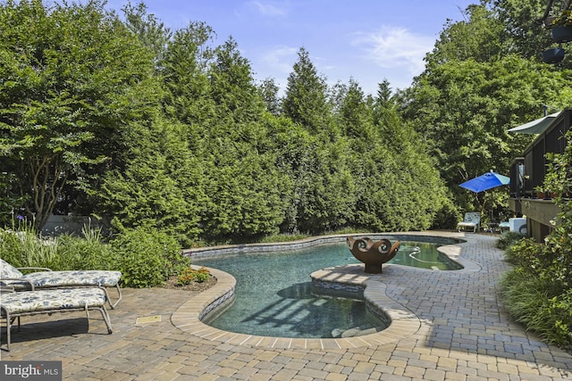 1016 Bellview Rd, Mclean, VA 22102 - swimming pool with a patio