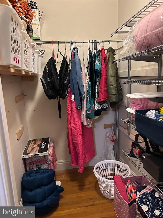 313 E Cherry St, Palmyra, PA 17078 - walk in closet featuring hardwood / wood-style flooring