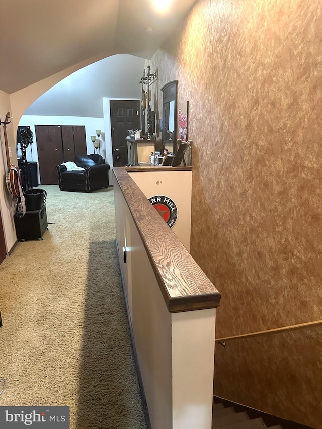 313 E Cherry St, Palmyra, PA 17078 - bar featuring arched walkways, carpet flooring, and vaulted ceiling