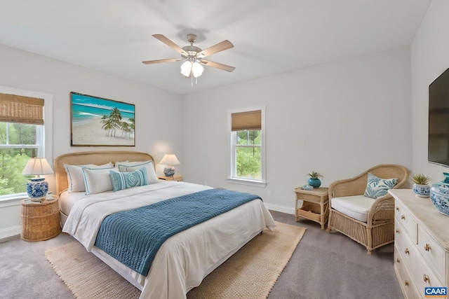 6169 Community House Rd, Columbia, VA 23038 - bedroom featuring light carpet, multiple windows, and baseboards