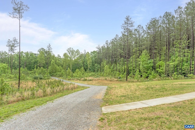 6169 Community House Rd, Columbia, VA 23038 - view of road with a forest view