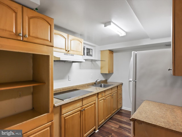 4102 Elizabeth St, Rockville, MD 20853 - kitchen with under cabinet range hood, a sink, black electric cooktop, freestanding refrigerator, and dark wood-style floors
