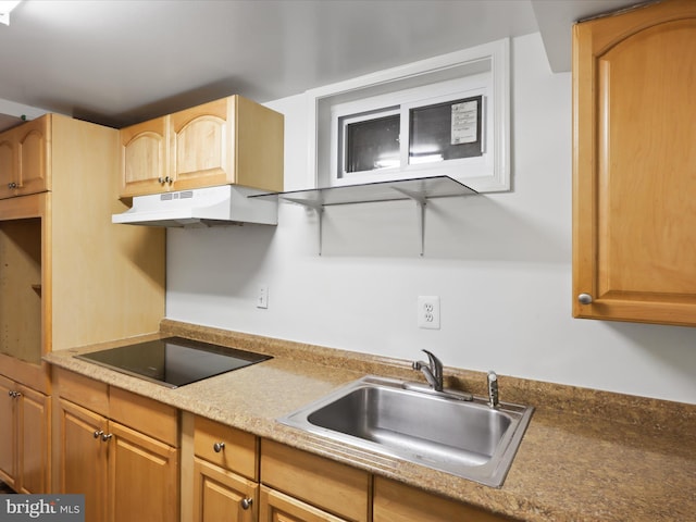 4102 Elizabeth St, Rockville, MD 20853 - kitchen featuring under cabinet range hood, a sink, and black electric stovetop