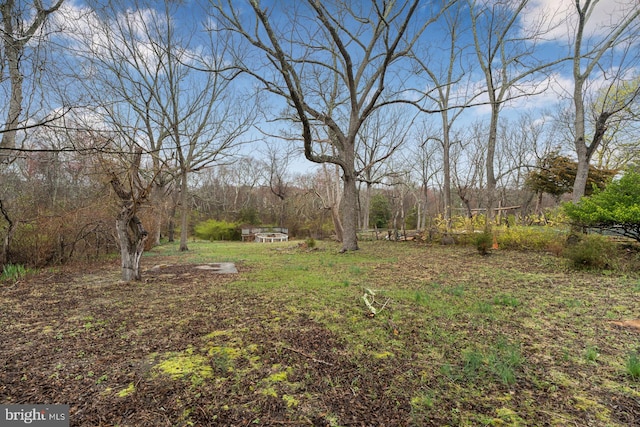 611 S New York Rd, Absecon, NJ 08205 - view of yard