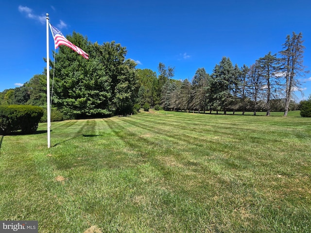 7 Taylor Ln, Doylestown, PA 18902 - view of green lawn