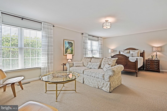 20337 Charter Oak Dr, Ashburn, VA 20147 - carpeted bedroom with baseboards